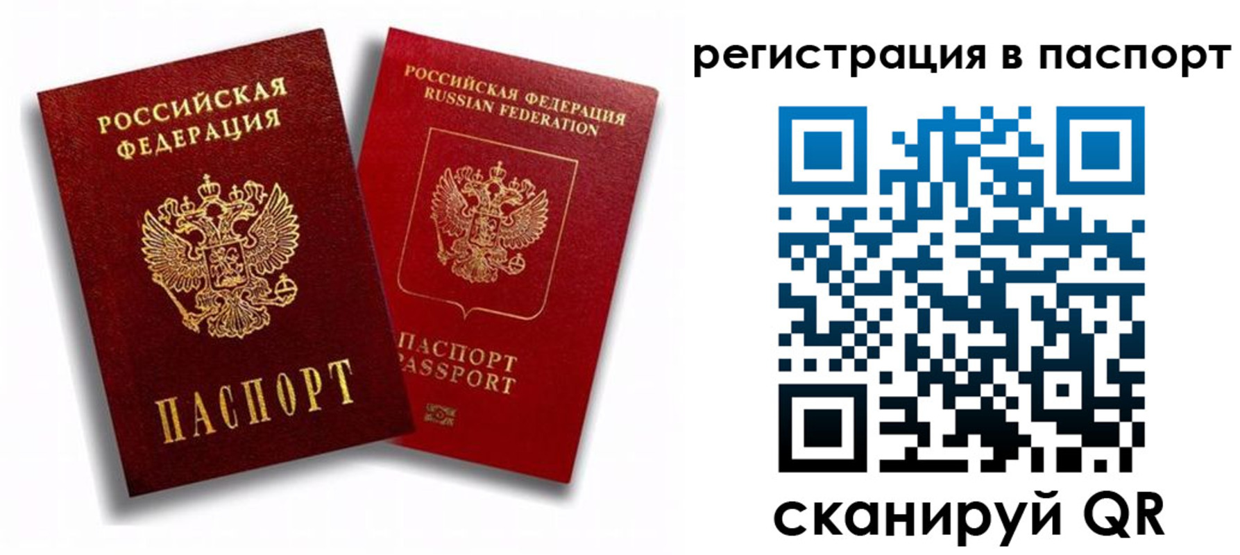 прописка 2025 в Ртищево
